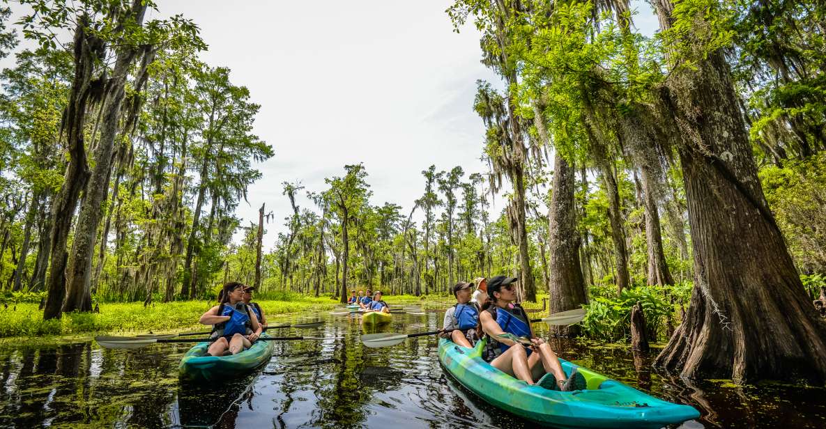 New Orleans: Manchac Magic Kayak Swamp Tour - Whats Included