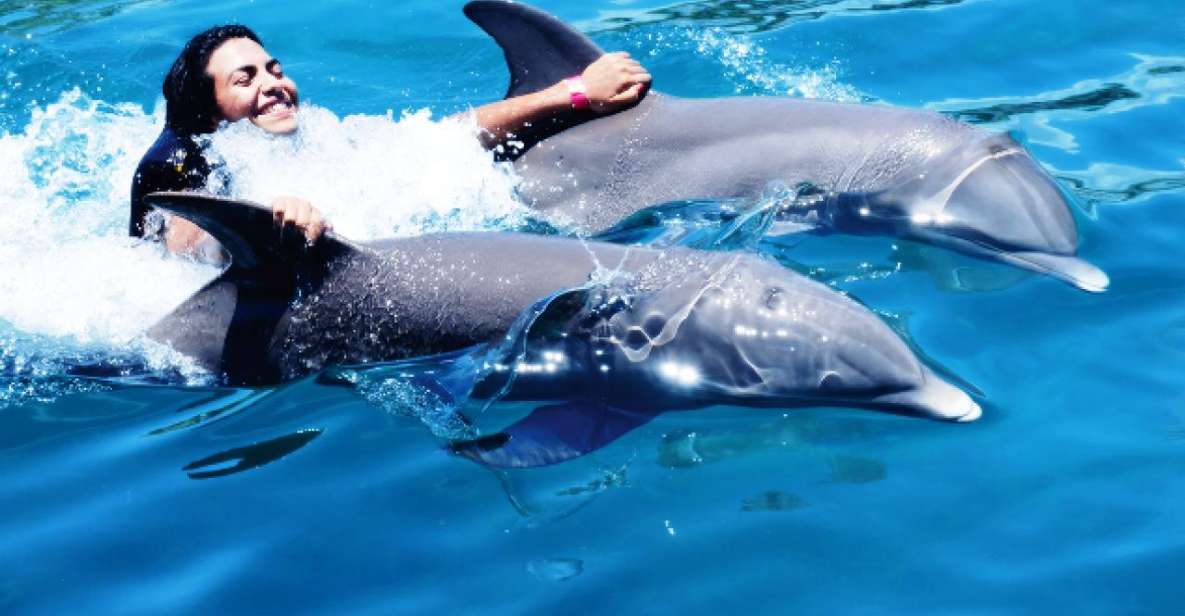 VIP Swim With Dolphins at Ocean World Puerto Plata - Experience Highlights