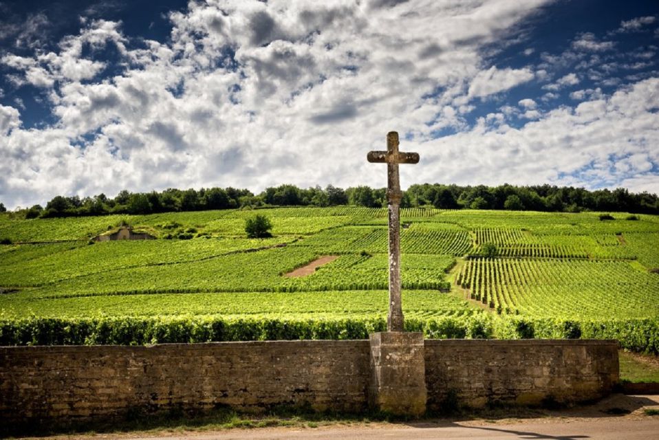 Vosne-Romanée: Private Vineyards Walking Tour With Tasting - Cancellation Policy