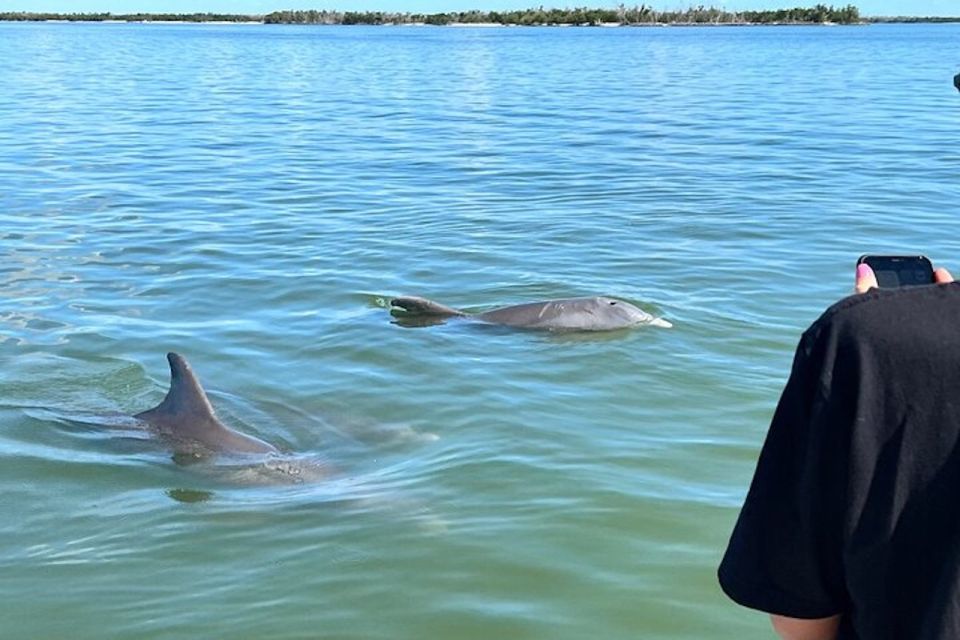 Wild Dolphin Boat Tour - Cancellation Policy