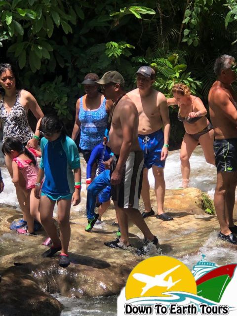 Montego Bay: Dunns River Falls and Jamaica Sightseeing Tour - Customer Reviews