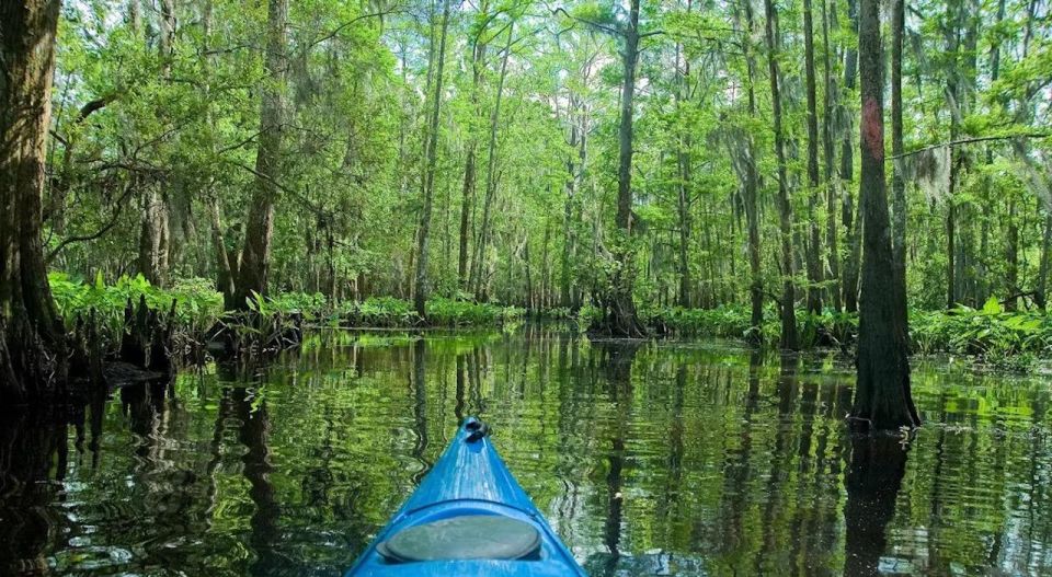 New Orleans: Manchac Magic Kayak Swamp Tour - Important Information