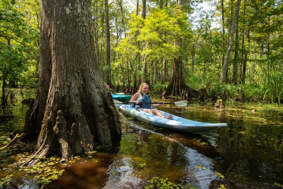 New Orleans: Manchac Magic Kayak Swamp Tour - Customer Reviews