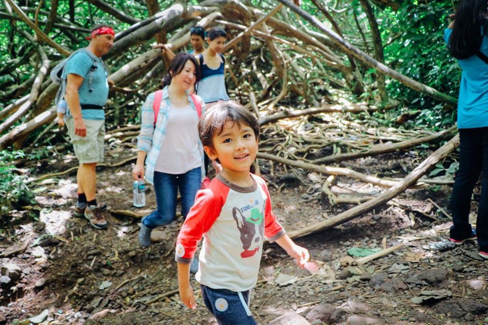 Oahu: Hike to the Manoa Falls Waterfall With Lunch - Highlights