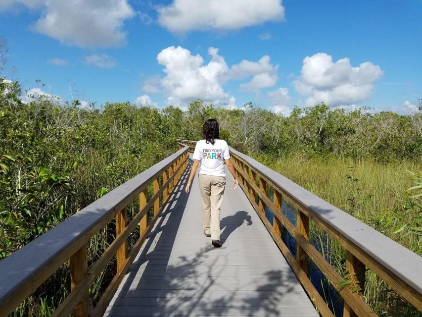 Everglades Airboat Ride & Guided Hike - Background