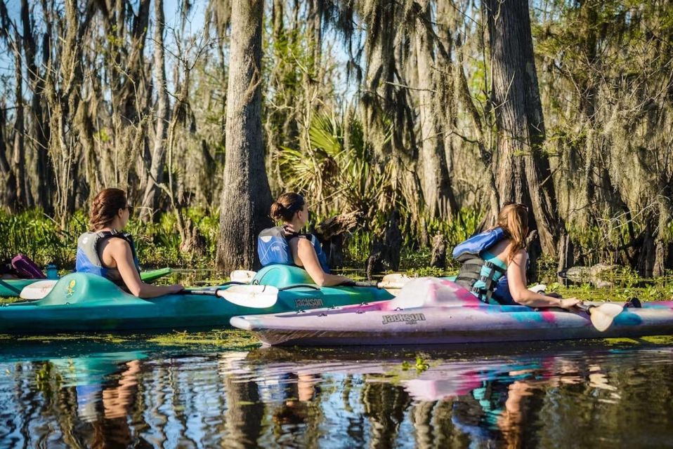 New Orleans: Manchac Magic Kayak Swamp Tour - Directions for Participation