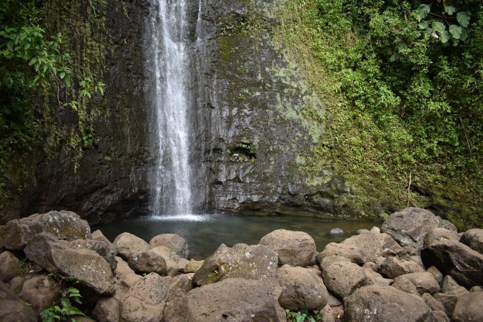 Oahu: Hike to the Manoa Falls Waterfall With Lunch - Includes