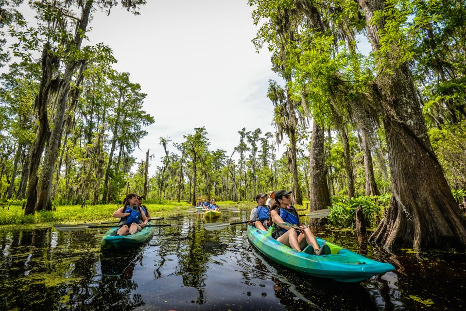 New Orleans: Manchac Magic Kayak Swamp Tour - Common questions