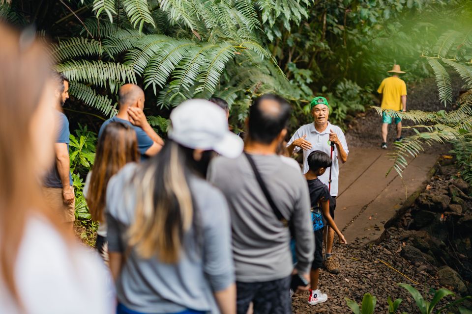 Oahu: Hike to the Manoa Falls Waterfall With Lunch - Directions