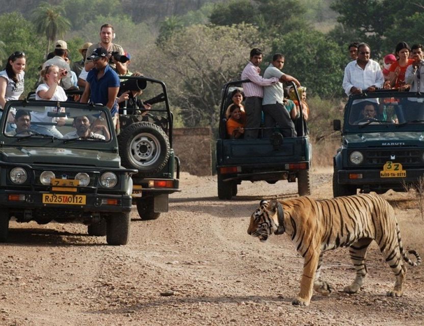 From Jaipur: Overnight Ranthambore Tiger Safari Private Tour - Common questions