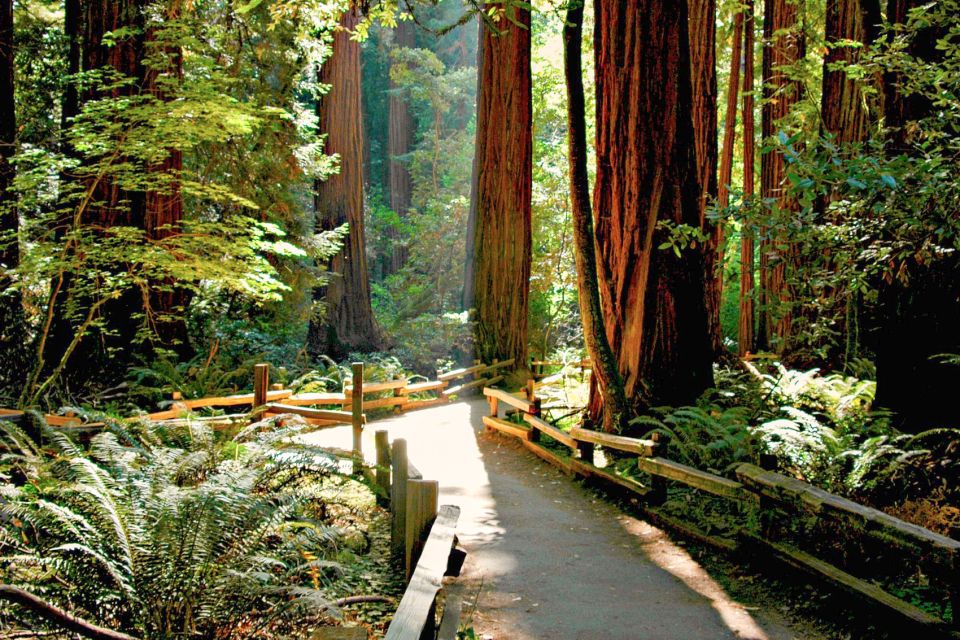 From San Francisco: Muir Woods and Sausalito Half-Day Trip - Common questions