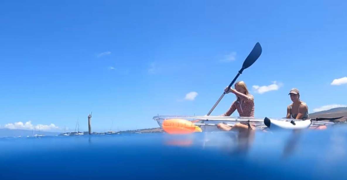 Clear Bottom Glassy Kayak Rental | Safe and Stable Kayaks - Key Points
