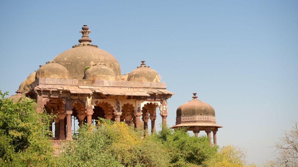 From Jaipur:Ultimate Jaipur to Ranthambore Jeep Safari Tour - Key Points