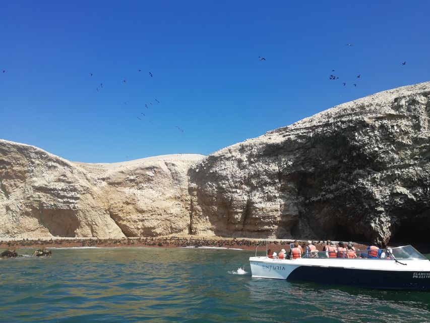 From Lima: Ballestas Islands & Paracas Reserve With Meals - Key Points