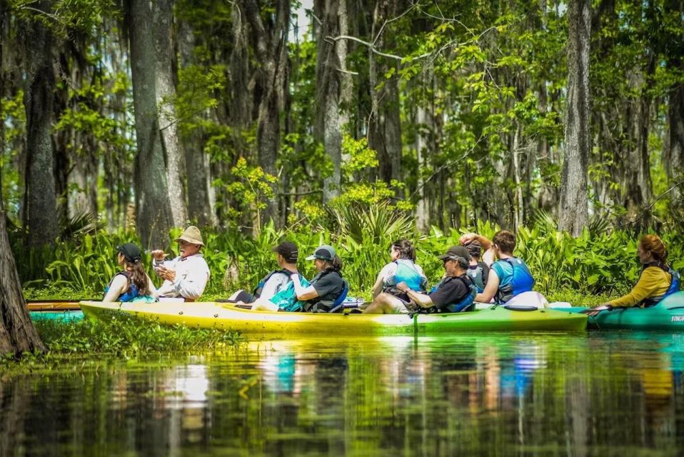 New Orleans: Manchac Magic Kayak Swamp Tour - Key Points