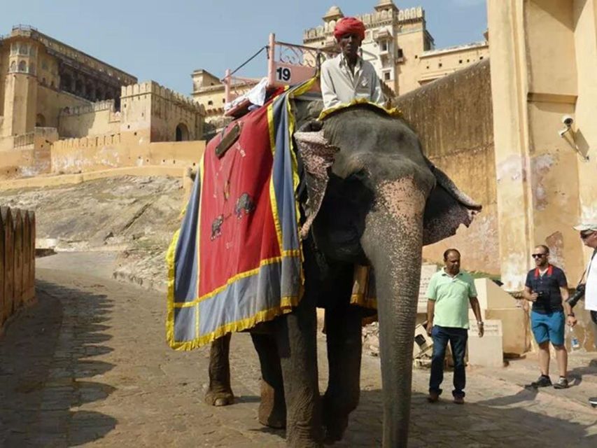 6 Days Golden Triangle India Tour With Pushkar - Tour Overview
