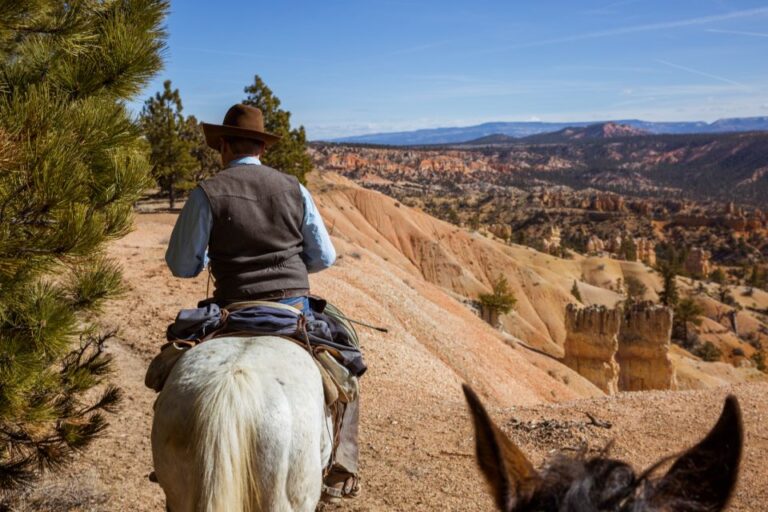 Bryce Canyon: Horseback Ride in the Dixie National Forest