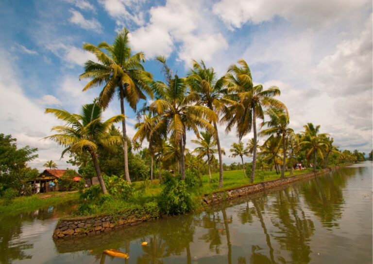 Day Trip to Alleppey With Backwater Experiences