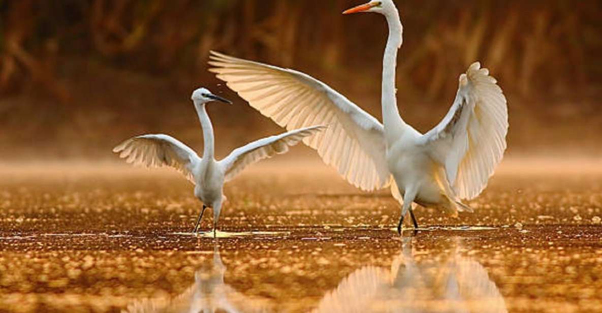 Delhi Agra Fatehpur Sikri Bharatpur Bird Sanctuary