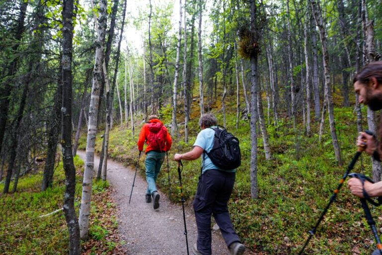 Denali: Naturalist Walking Tour in Denali National Park