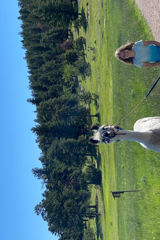 Denver: Llama Hike in the Rocky Mountains