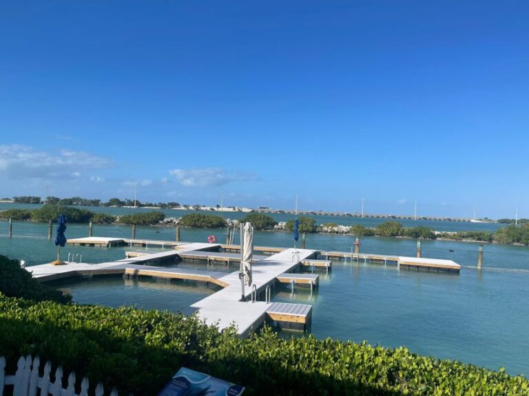 Florida Keys: Dockside Dolphin Experience