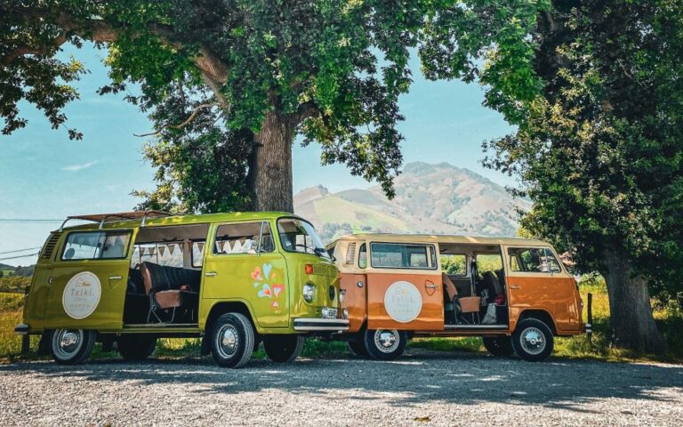 French Basque Country Private Day Tour in an 70s VW Combi