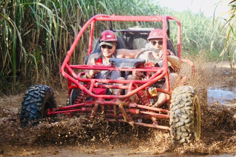 From Bayahibe-La Romana : Buggy Atv/Quad 4X4 Half-Day