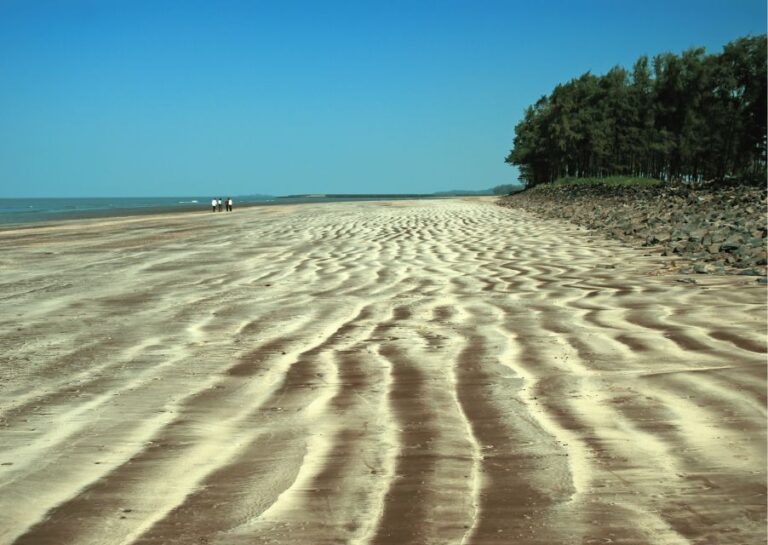 Guided Day Trip to Alibag-Kashid Beach From Mumbai