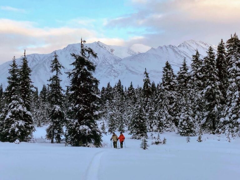 Guided Snowshoeing Adventure From Seward, Alaska