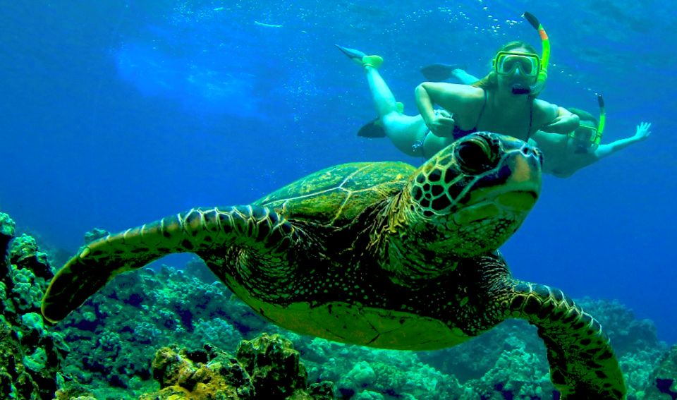 Maui: Kaanapali Beach Snorkel W/ Breakfast and Lunch