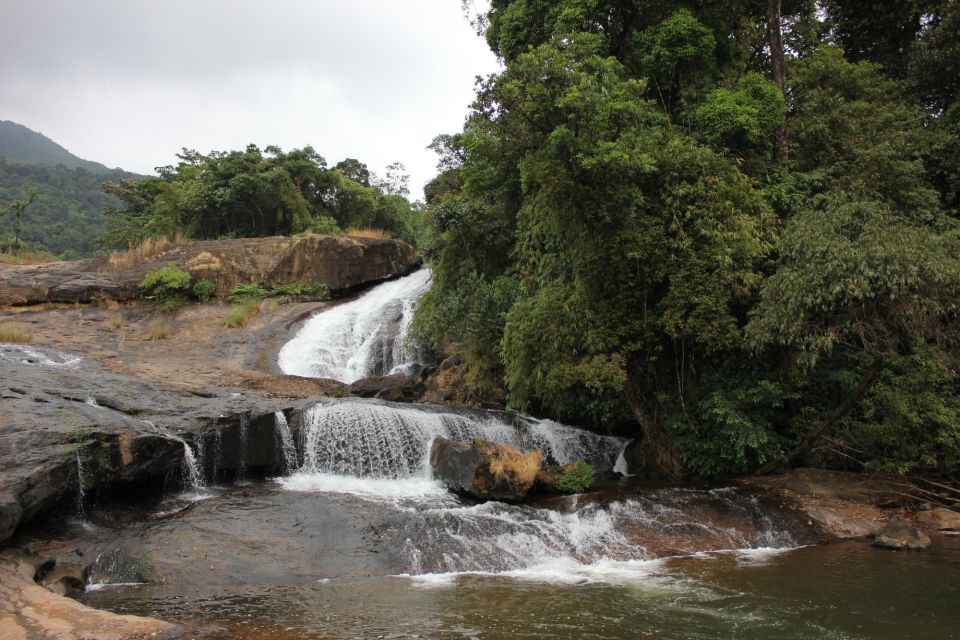 Munnar: Tea Garden and Elephant Safari Trip by 4×4