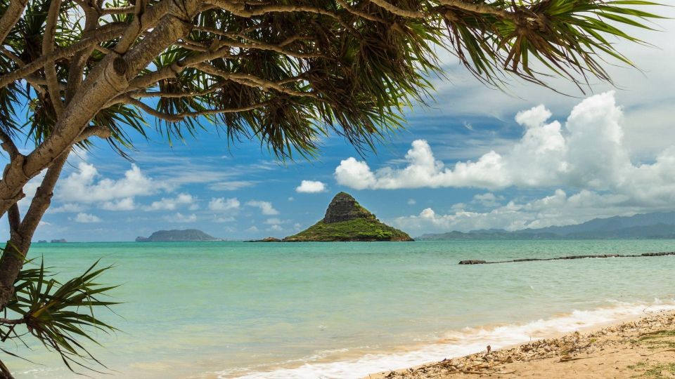 Oahu: North Shore Circle Island Small-Group Tour - Tour Details