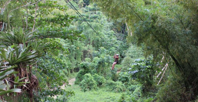 Ocho Rios: White River Jungle Zipline & Blue Hole Experience