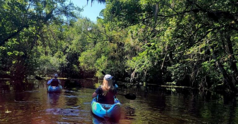 Old Florida Backwater Kayak Adventure Near St. Augustine