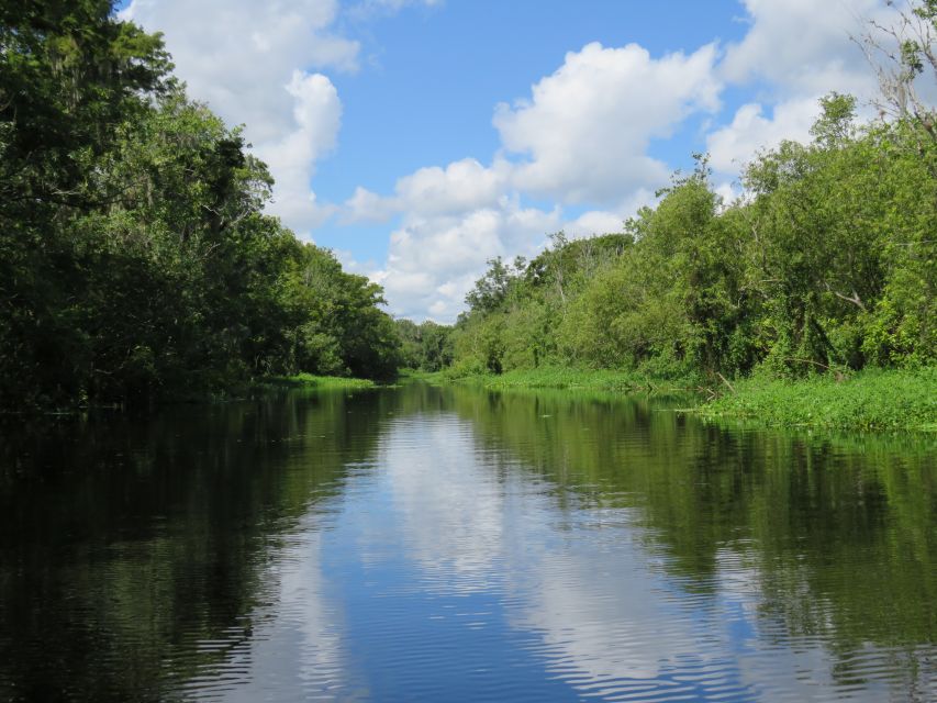 Orlando: Small Group Manatee Discovery Kayak Tour