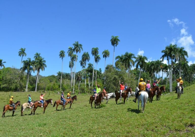 Puerto Plata Combo Experience: Zip-line + Horseback Riding