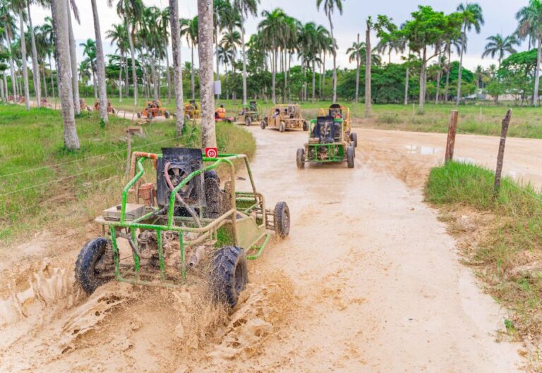 Punta Cana: Saona Island and Buggy Combo