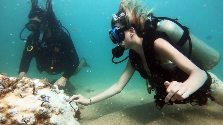 Waikiki: Honolulu Beginner Scuba Diving With Videos