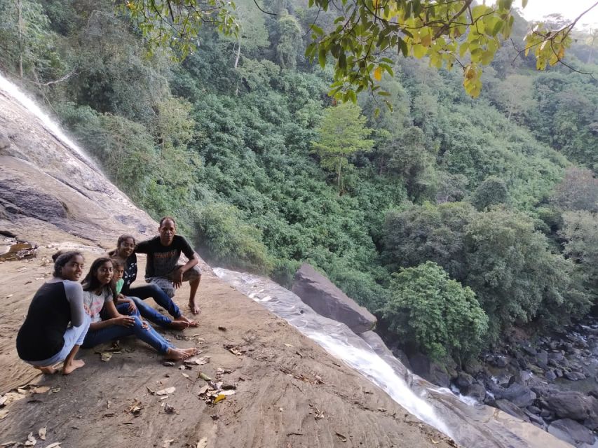 Munnar: Tea Garden and Elephant Safari Trip by 4x4 - Highlights