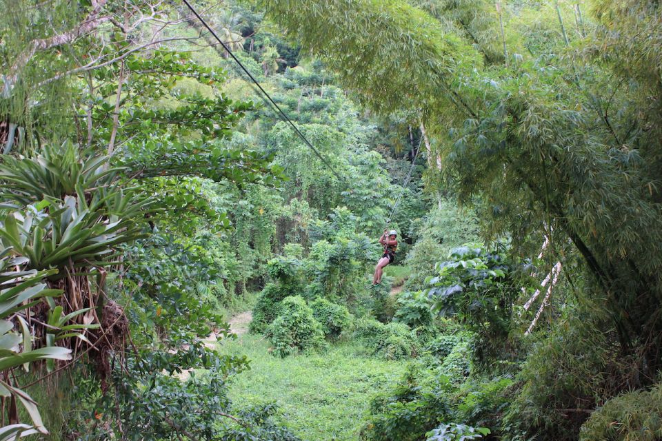 Ocho Rios: White River Jungle Zipline & Blue Hole Experience - Inclusions