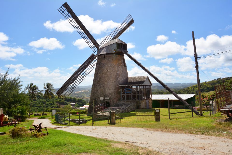 Barbados: Island Tour With Animal Flower Cave and Lunch - Customer Reviews