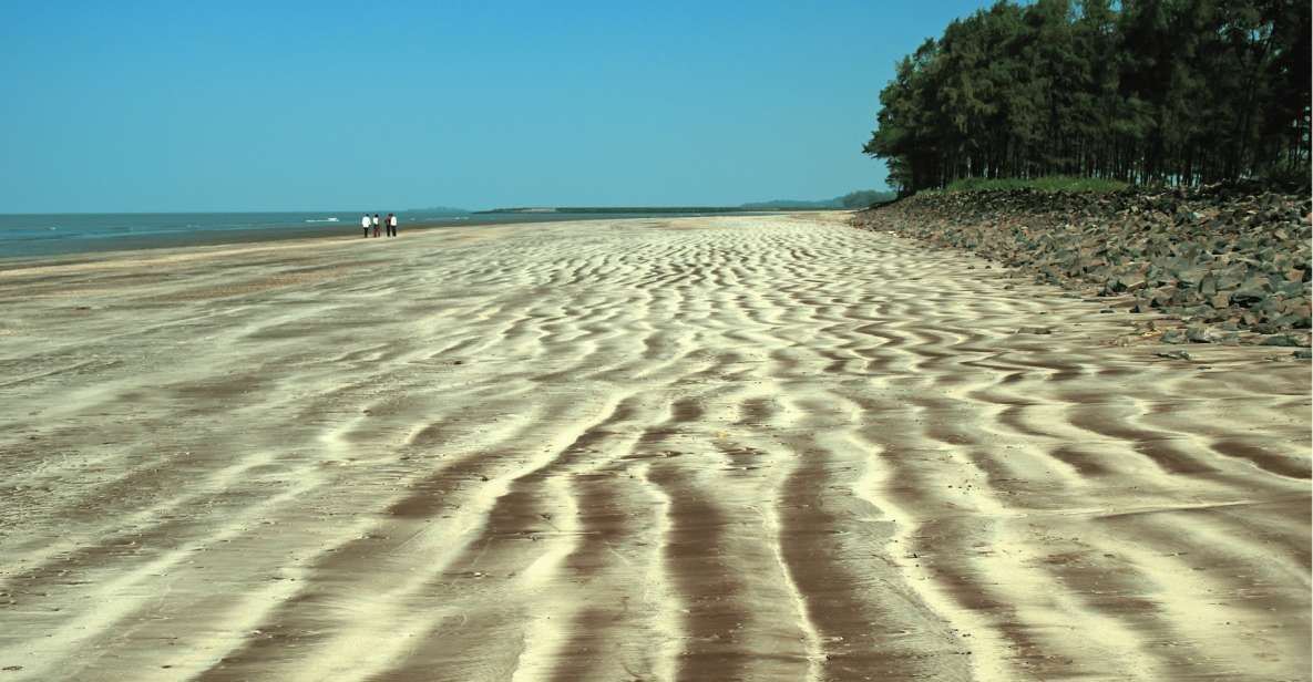 Guided Day Trip to Alibag-Kashid Beach From Mumbai - Important Information