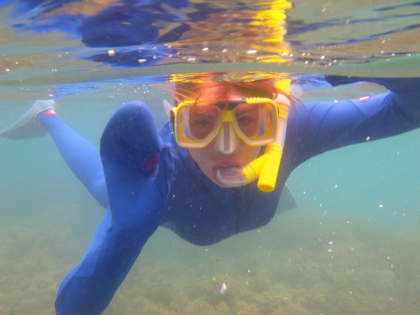 Islamorada: Snorkeling and Beach Adventure - Description