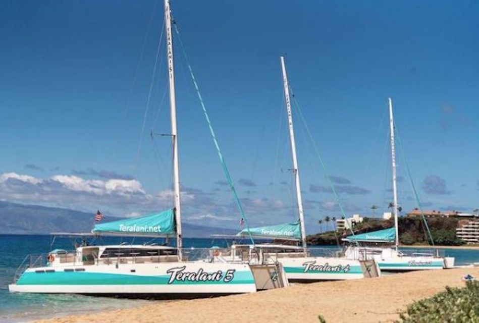 Maui: Kaanapali Wild Dolphin Sail - Customer Reviews