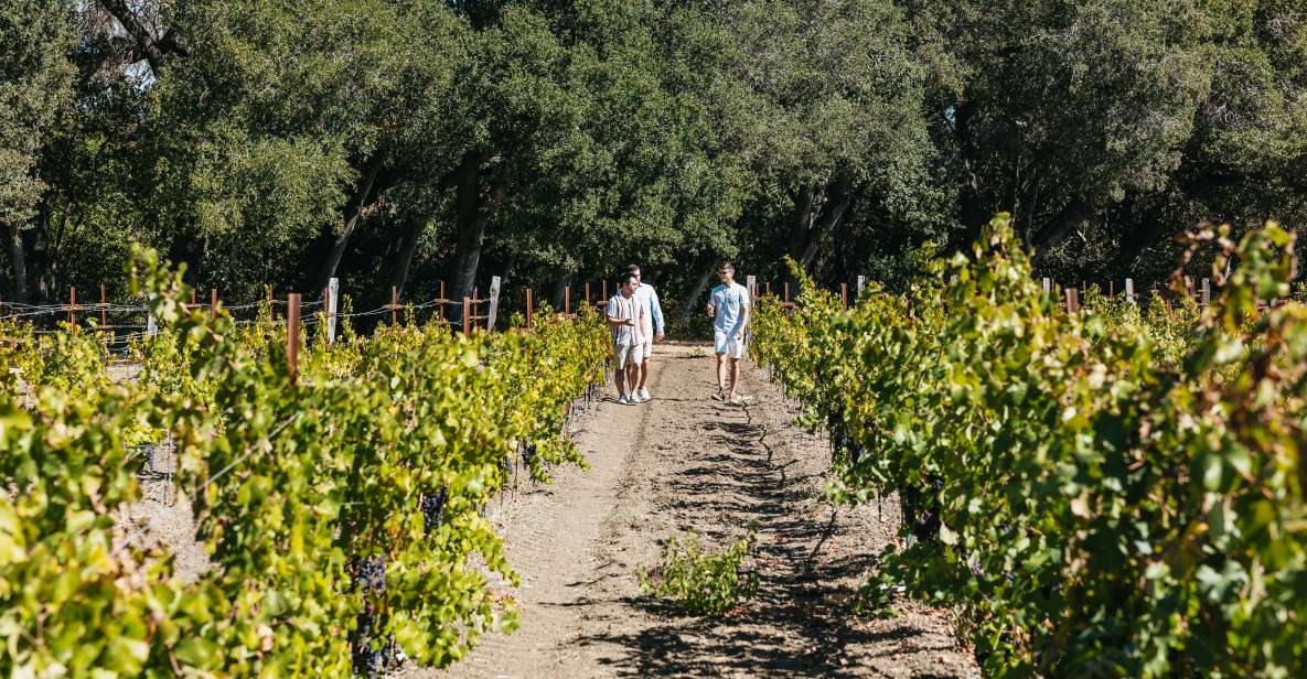 San Francisco: Half-Day Wine Country Excursion With Tastings - Booking Information