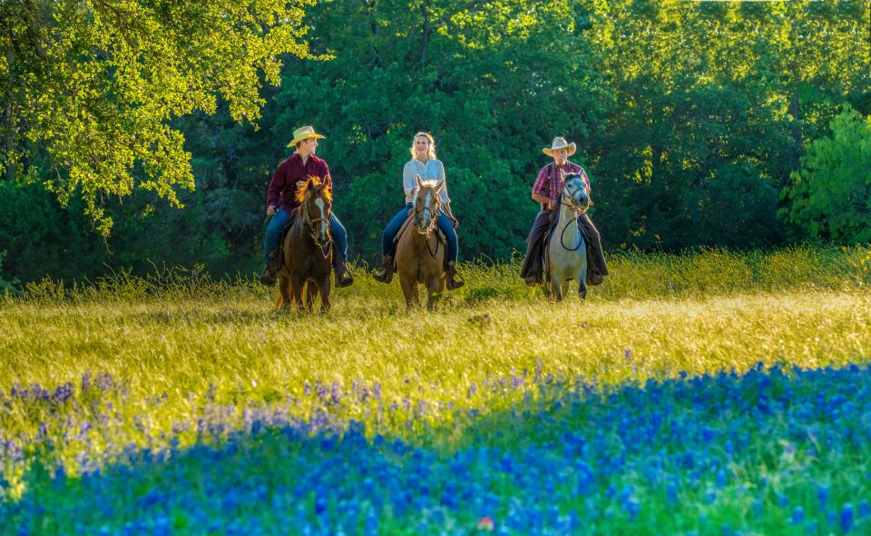 Waco: Horseback Riding Tour With Cowboy Guide - Cancellation Policy and Highlights