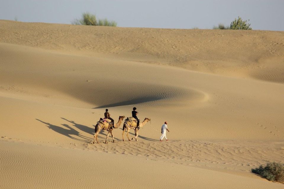 Jaisalmer: Luxury Camping in the Desert - Exclusions and Cancellation Policy