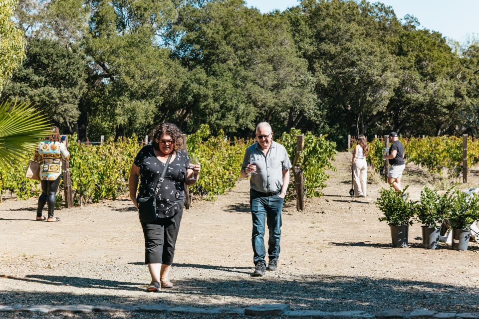 San Francisco: Half-Day Wine Country Excursion With Tastings - Customer Reviews
