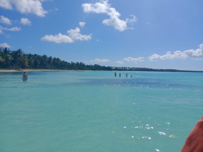 Saona Island: Highlights Tour With Catamaran and Speedboat - Saona Island Description